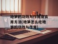 地笋的功效与作用及食用方法(地笋怎么吃地笋的功效与作用)