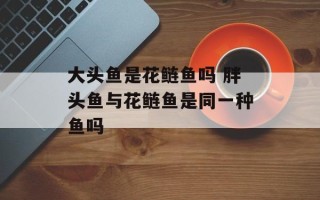 大头鱼是花鲢鱼吗 胖头鱼与花鲢鱼是同一种鱼吗