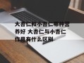 大杏仁和小杏仁哪种营养好 大杏仁与小杏仁作用有什么区别