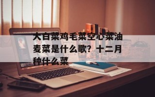 大白菜鸡毛菜空心菜油麦菜是什么歌？十二月种什么菜