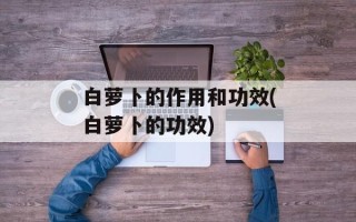 白萝卜的作用和功效(白萝卜的功效)