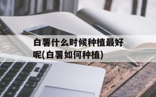 白薯什么时候种植最好呢(白薯如何种植)