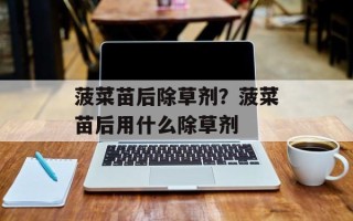 菠菜苗后除草剂？菠菜苗后用什么除草剂