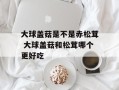 大球盖菇是不是赤松茸 大球盖菇和松茸哪个更好吃