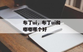 布丁ui，布丁ui和嘟嘟哪个好