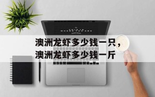 澳洲龙虾多少钱一只，澳洲龙虾多少钱一斤