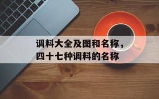 调料大全及图和名称，四十七种调料的名称