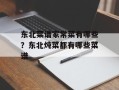 东北菜谱家常菜有哪些？东北炖菜都有哪些菜谱