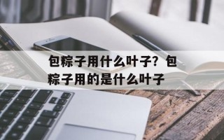 包粽子用什么叶子？包粽子用的是什么叶子