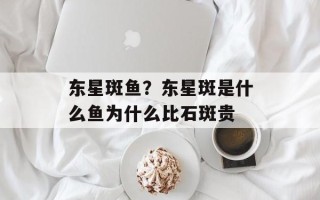 东星斑鱼？东星斑是什么鱼为什么比石斑贵