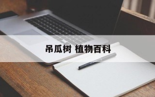 吊瓜树 植物百科