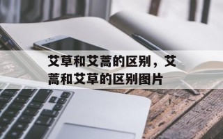 艾草和艾蒿的区别，艾蒿和艾草的区别图片