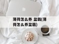 薄荷怎么养 盆栽(薄荷怎么养盆栽)