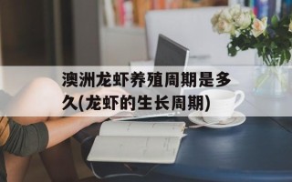 澳洲龙虾养殖周期是多久(龙虾的生长周期)