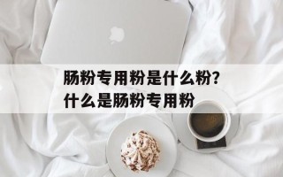 肠粉专用粉是什么粉？什么是肠粉专用粉