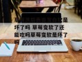 草莓洗后表面发白软是坏了吗 草莓变软了还能吃吗草莓变软是坏了吗