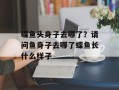 碟鱼头身子去哪了？请问鱼身子去哪了蝶鱼长什么样子