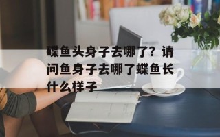 碟鱼头身子去哪了？请问鱼身子去哪了蝶鱼长什么样子