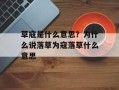 草寇是什么意思？为什么说落草为寇落草什么意思