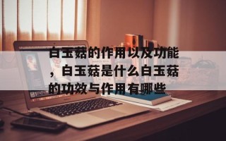 白玉菇的作用以及功能，白玉菇是什么白玉菇的功效与作用有哪些