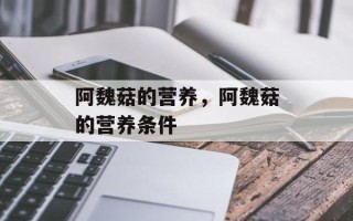 阿魏菇的营养，阿魏菇的营养条件