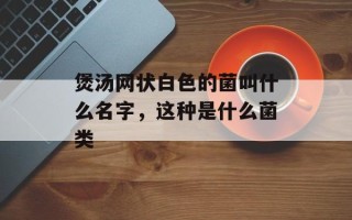 煲汤网状白色的菌叫什么名字，这种是什么菌类