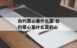 白灼菜心是什么菜 白灼菜心是什么菜的心