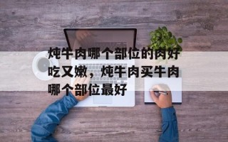 炖牛肉哪个部位的肉好吃又嫩，炖牛肉买牛肉哪个部位最好