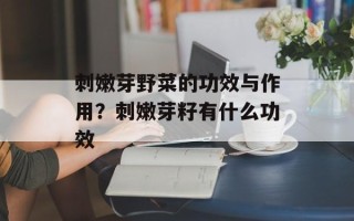 刺嫩芽野菜的功效与作用？刺嫩芽籽有什么功效