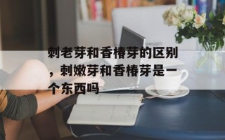 刺老芽和香椿芽的区别，刺嫩芽和香椿芽是一个东西吗