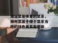 潮汕菜是哪里的菜系，潮州菜属于哪个菜系当地的特色美食有哪些