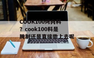 COOK100烤肉料？cook100料是腌制还是直接撒上去呢