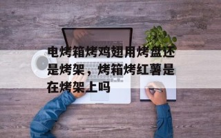 电烤箱烤鸡翅用烤盘还是烤架，烤箱烤红薯是在烤架上吗