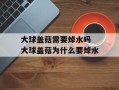 大球盖菇需要焯水吗 大球盖菇为什么要焯水