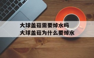 大球盖菇需要焯水吗 大球盖菇为什么要焯水