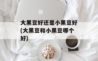 大黑豆好还是小黑豆好(大黑豆和小黑豆哪个好)