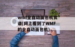 wmf全自动面包机食谱(网上看到了WMF的全自动面包机)