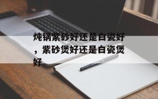 炖锅紫砂好还是白瓷好，紫砂煲好还是白瓷煲好
