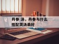 丹参 汤，丹参与什么搭配煲汤最好