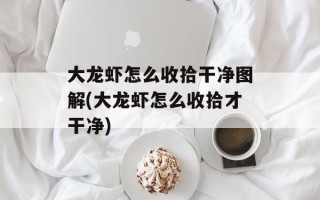 大龙虾怎么收拾干净图解(大龙虾怎么收拾才干净)