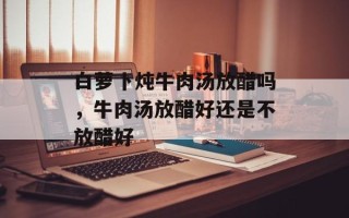 白萝卜炖牛肉汤放醋吗，牛肉汤放醋好还是不放醋好