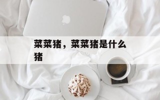 菜菜猪，菜菜猪是什么猪