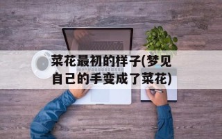菜花最初的样子(梦见自己的手变成了菜花)