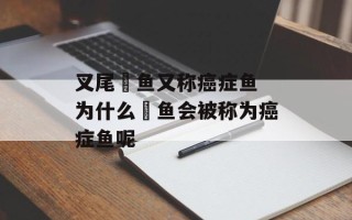 叉尾鮰鱼又称癌症鱼 为什么鮰鱼会被称为癌症鱼呢