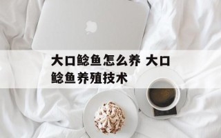 大口鲶鱼怎么养 大口鲶鱼养殖技术
