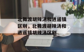 北舞渡胡辣汤和逍遥镇区别，北舞渡胡辣汤和逍遥镇胡辣汤区别