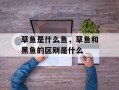 草鱼是什么鱼，草鱼和黑鱼的区别是什么