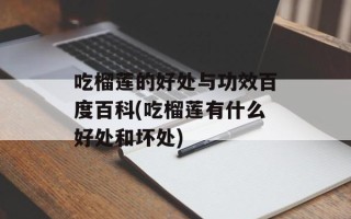 吃榴莲的好处与功效百度百科(吃榴莲有什么好处和坏处)