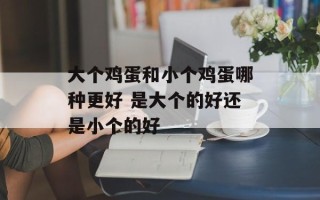 大个鸡蛋和小个鸡蛋哪种更好 是大个的好还是小个的好