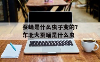 蚕蛹是什么虫子变的？东北大蚕蛹是什么虫
